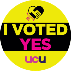 Respect FE I Voted Yes roundel